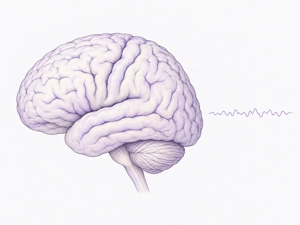 Ilustracja mózgu i symbolicznej fali EEG